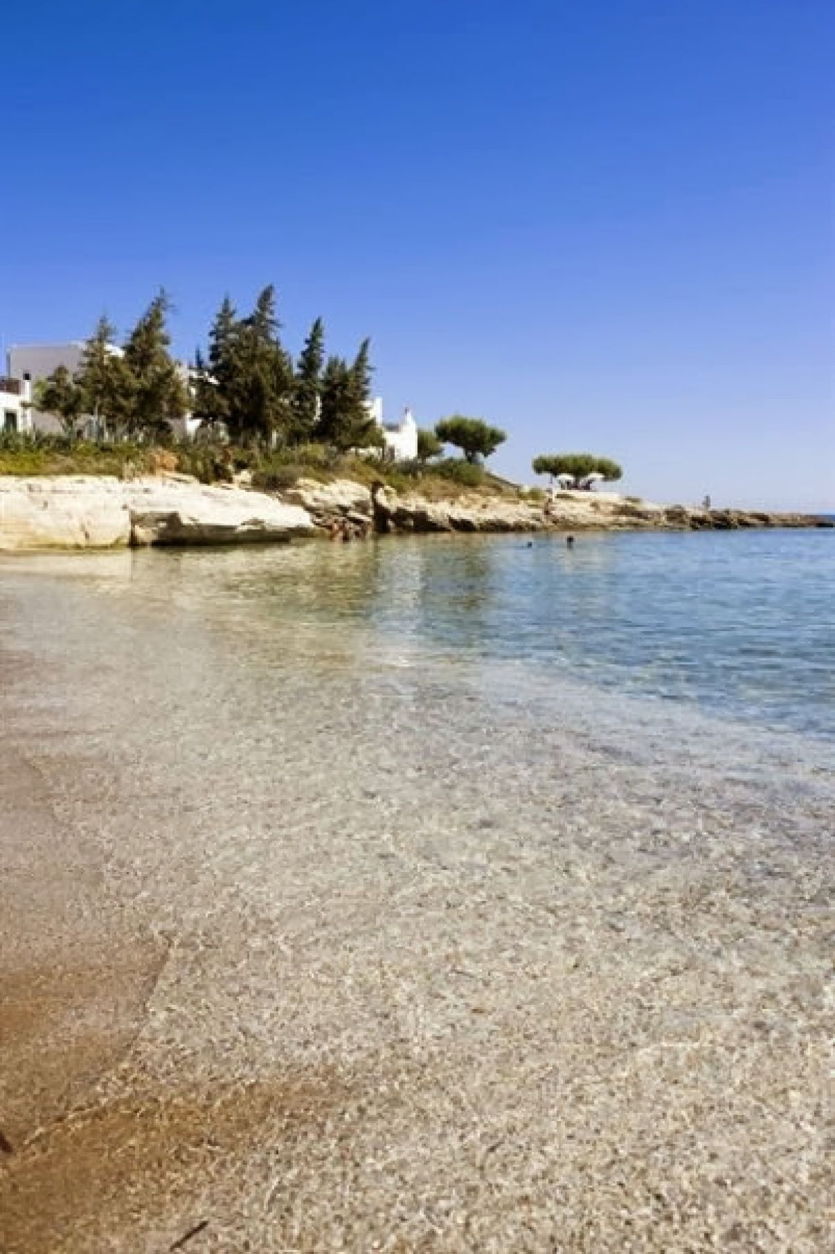 imagini hotel CRETA MARIS